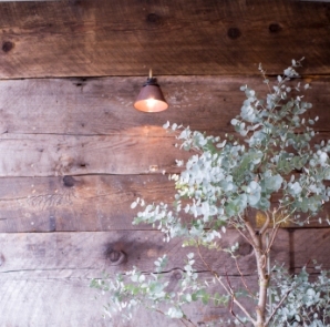 shop photo ai-natural.